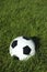 Classic Black and White Soccer Ball Football on Green Grass