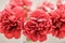 Classic bouquet of red peonies in a glass vase indoors, home decor