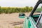 Classic car chrome mirror. Volksvagen Karmann Ghia Coupe, green retro car on sunflower field. Italian classic car -