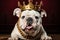 Classic charm, English bulldog pup dons red velvet, crowned with gold