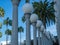 Classic circular light posts standing with palm trees in daytime