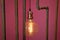 Classic different retro light bulbs hanging on brick red background at night . Decorative antique edison style light bulbs against