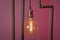 Classic different retro light bulbs hanging on brick red background at night . Decorative antique edison style light bulbs against