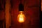 Classic different retro light bulbs hanging on brick wall background at night