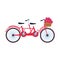 Classic double bike with basket with flowers, colorful design