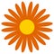 Classic flower clip-art. Simple orange daisy, flower icon, symbol