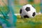 Classic football (soccer) ball on green grass ground at the back of the goal net