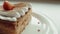 Classic french dessert millefeuille on a wooden board. Napoleon cake on tray or table with mint and a cup of coffee and flower