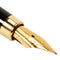 Classic gold fountain pen
