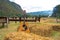 Classic guitar lying in front of the nature