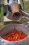 Classic handmade tomato collecting and puree with ancient metal press sauce maker