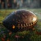 Classic leather football rests gracefully on the lush green field