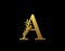 Classic Letter A Icon. Luxury Gold alphabet arts logo. Vintage Alphabetical Icon for book design, brand name, stamp, Restaurant,