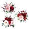 Classic luxurious red roses, pink carnation, ranunculus, dahlia, white peony