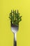 Classic metal fork with fresh microgreens on a yellow background.