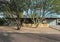 Classic midcentury architecture, Phoenix, Arizona