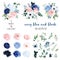 Classic navy blue, white, blush pink rose, hydrangea, ranunculus, orchid