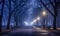 Classic night view of the road. Road, light, trees. Park dark background. For banner, postcard, book illustration