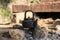 Classic old kettle with black soot on pile of stones at camping