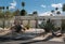 Classic Palm Springs residential architecture