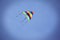 Classic rainbow kite