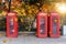 Classic red telephone booths in front of a park in London during autumn time