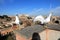 Classic Rome - Seagulls at top , aerial view to old roof buildings and street