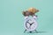 Classic round clock with arrows and a beautiful snail with a spiral shell on them on a green background. Time concept