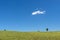 Classic rural scenery in the Tuscan countryside of the inland areas, with trees isolated against the blue sky