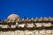 Classic scene of pigeons in white, black and grey color on terracotta roof tile of old classic little church in earth tone natural