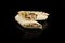 Classic shawarma kebab pita with chicken and vegetables and sauce on a black background. in section
