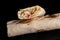 Classic shawarma kebab pita with chicken and vegetables and sauce on a black background. in section