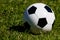 Classic soccer ball on green grass background