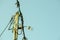 Classic street lamp on concrete pole with wires of electric power line on evening light.