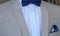 Classic style beige suit blue bowtie elegant menswear