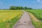 Classic summer landscape with country road