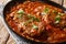 Classic Swiss steak fried and slowly cooked in a fragrant tomato