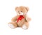 Classic teddy-bear with red bow.