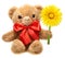 Classic teddy bear with red bow holding flower
