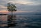 Classic Thailand sunset view with alone tree in the water