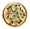Classic thin pizza with mozzarella, spinach and mushrooms on a white background