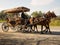 Classic turkish horse carriage in Selcuk, Izmir, Turkey