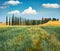 Classic Tuscan view with farmhouse and cypress trees. Colorful summer view of Italian countryside, Val d`Orcia valley, Italy, eur