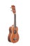 Classic ukulele guitar