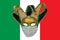 Classic venetian carnival mask in a medical protective mask against the background of the flag of Italy. The concept of the spread