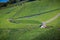 Classic vineyard house surrounded by thousands of grape vines near Moselle River