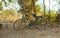 Classic vintage Bicycle in Angkor Wat temple Cambodia