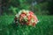 Classic wedding bouquet from roses, eustoma and freesia lies in the dense grass. Bright green and emerald summer photo. Wedding