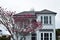 Classic white villa and pink tree