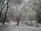 Classic winter picture of a frozen empty park